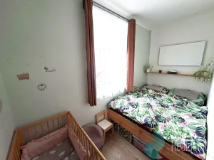 Pronájem bytu 1+1, České Budějovice, Komenského, 47 m2