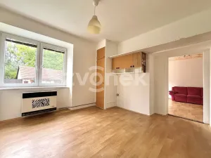 Prodej bytu 1+1, Hulín, Kostelní, 46 m2