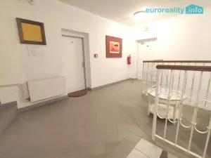 Pronájem bytu 2+1, Plzeň, Zbrojnická, 80 m2