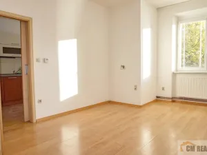 Pronájem bytu 1+1, Prostějov, Šárka, 43 m2