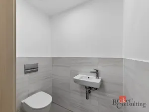 Pronájem bytu 2+kk, Plzeň - Jižní Předměstí, Železná, 63 m2