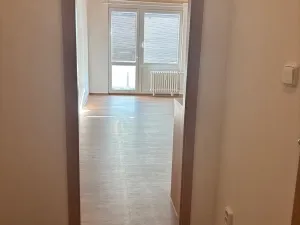 Pronájem bytu 1+kk, Hradec Králové, Brožíkova, 30 m2