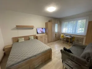 Pronájem bytu 1+kk, Brno - Černá Pole, náměstí SNP, 27 m2