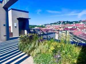 Pronájem bytu 1+kk, Praha - Smíchov, Plzeňská, 25 m2
