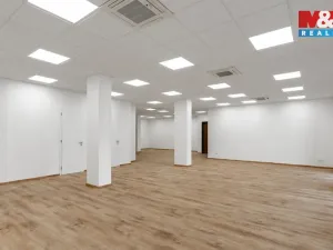 Prodej kanceláře, Plzeň - Severní Předměstí, Otýlie Beníškové, 139 m2