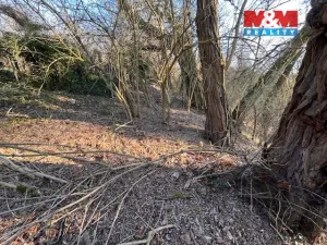 Prodej pozemku pro bydlení, Škvorec, Na Pazderně, 3136 m2