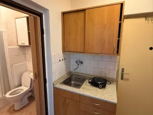 Pronájem bytu 1+kk, Brno, Veletržní, 18 m2