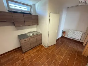 Pronájem kanceláře, Most, Růžová, 51 m2