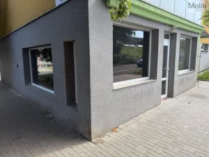 Pronájem kanceláře, Most, Růžová, 51 m2