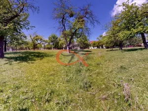 Prodej zahrady, Ostrata, 1472 m2
