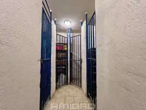 Pronájem bytu 3+1, Brno, Soběšická, 70 m2