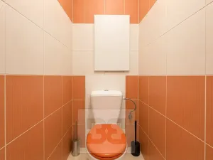 Pronájem bytu 2+1, Olomouc, Dělnická, 55 m2
