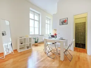 Pronájem bytu 1+kk, Praha - Nové Město, Řeznická, 31 m2