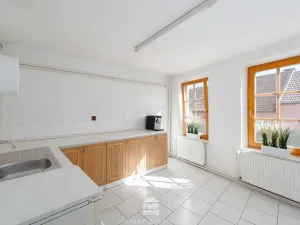 Prodej rodinného domu, Cetkovice, Velká Strana, 464 m2