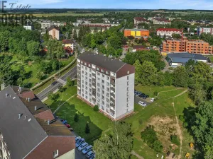 Prodej bytu 1+1, Milovice - Mladá, Armádní, 36 m2