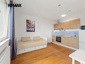 Pronájem bytu 1+kk, Praha - Vinohrady, Perucká, 27 m2