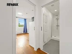 Pronájem bytu 1+kk, Praha - Vinohrady, Perucká, 27 m2