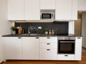 Pronájem bytu 1+kk, Praha - Holešovice, V závětří, 34 m2