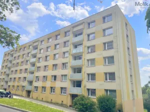 Prodej bytu 3+1, Litvínov - Horní Litvínov, Tylova, 64 m2
