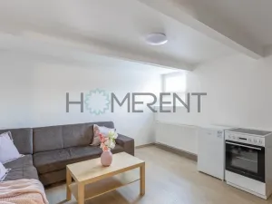 Pronájem bytu 1+kk, Mladá Boleslav - Mladá Boleslav IV, Luční, 21 m2