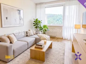 Prodej bytu 2+kk, Všemina, 45 m2
