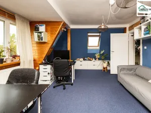 Prodej vily, Cheb, Spálená, 216 m2