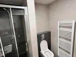 Pronájem bytu 1+kk, Olomouc - Neředín, Frištenského, 32 m2