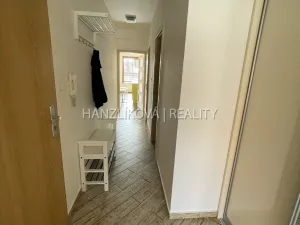 Pronájem bytu 3+kk, České Budějovice - České Budějovice 3, Skuherského, 88 m2