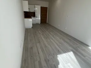 Pronájem bytu 1+kk, Plzeň - Jižní Předměstí, Goldscheiderova, 29 m2