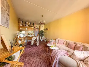 Prodej bytu 1+kk, Tábor, Havanská, 30 m2