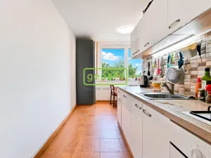 Prodej bytu 2+1, Brno - Kohoutovice, Stamicova, 59 m2