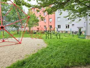 Pronájem bytu 1+1, Nový Jičín, Riegrova, 38 m2