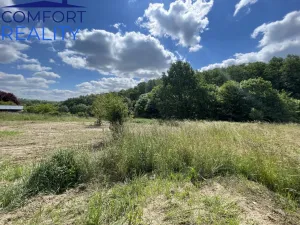 Prodej rodinného domu, Bílovec - Stará Ves, 300 m2
