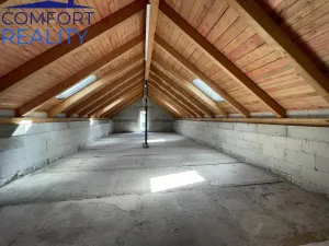 Prodej rodinného domu, Bílovec - Stará Ves, 300 m2