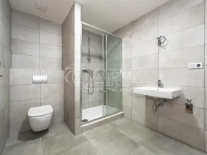 Pronájem bytu 2+kk, Kralupy nad Vltavou - Lobeček, J. Wolkera, 63 m2