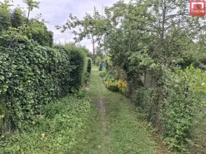 Pronájem zahrady, Olomouc - Hejčín, 228 m2