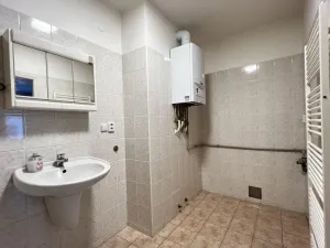Pronájem bytu 1+kk, Praha - Žižkov, Vlkova, 41 m2