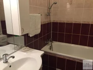 Pronájem bytu 1+1, Karlovy Vary, nábřeží Jana Palacha, 47 m2