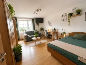 Prodej bytu 2+kk, Trutnov - Horní Předměstí, Švábenicova, 56 m2