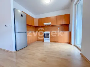 Pronájem bytu 1+kk, Zlín, Březnická, 44 m2