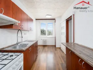 Prodej bytu 3+1, Ústí nad Labem - Krásné Březno, Přemyslovců, 74 m2