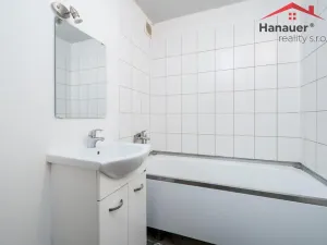 Prodej bytu 3+1, Ústí nad Labem - Krásné Březno, Přemyslovců, 74 m2