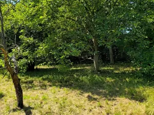 Prodej pozemku pro bydlení, Bukovina u Přelouče, 998 m2