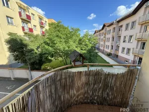 Pronájem bytu 1+1, Olomouc, Jiráskova, 32 m2