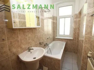 Pronájem bytu 2+kk, Plzeň, Úslavská, 45 m2