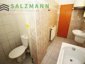 Pronájem bytu 2+kk, Plzeň, Úslavská, 45 m2