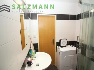 Pronájem bytu 1+1, Dýšina, K Chlumu, 42 m2