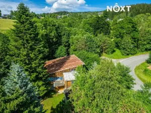 Prodej komerční nemovitosti, Benecko, 750 m2
