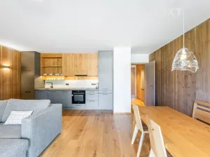 Prodej bytu 2+kk, Vítkovice, 57 m2