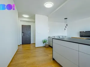 Prodej bytu 3+1, Opava, Palackého, 81 m2